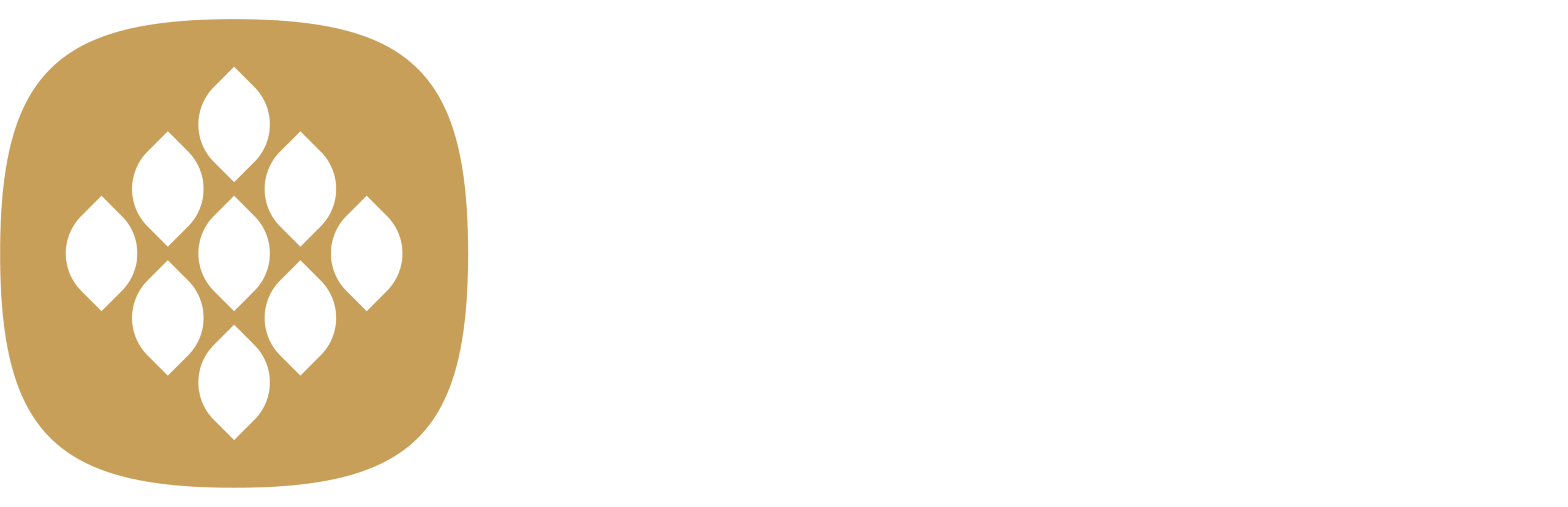 三丰资本